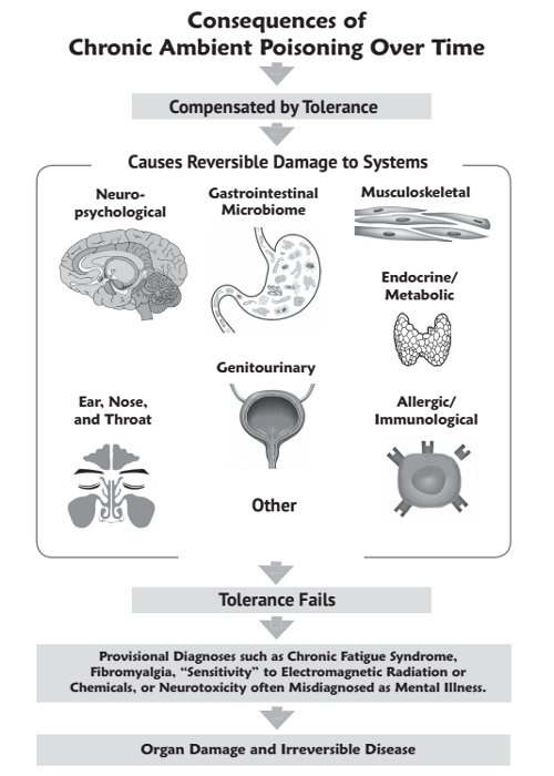 Diagram of poisoning consequences over time.